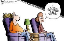 NUT JOB by Bruce Plante