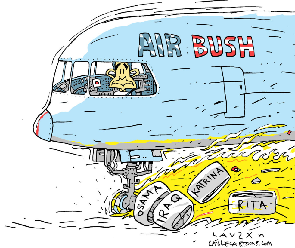 Bush Expert Landing Color