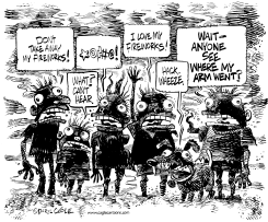 BANNING FIREWORKS by Daryl Cagle