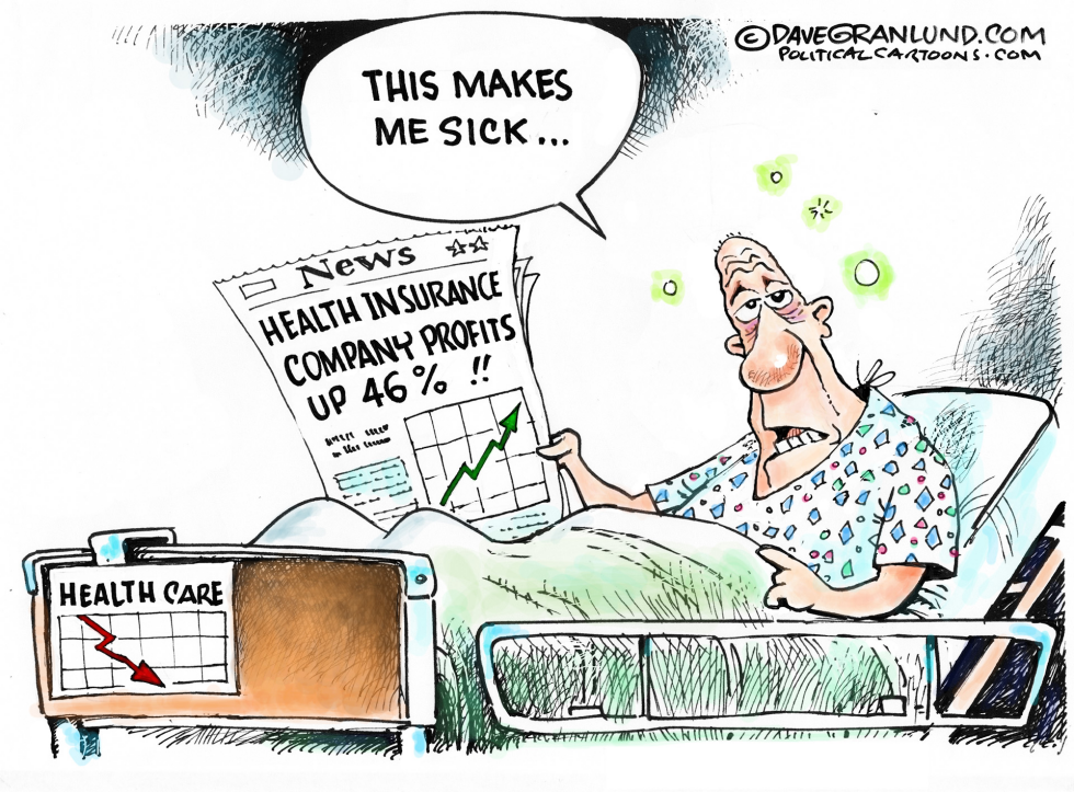 Health ins Co profits COLOR
