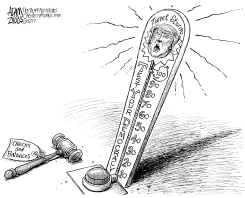 CHECKS AND BALANCES by Adam Zyglis