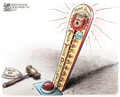 CHECKS AND BALANCES  by Adam Zyglis