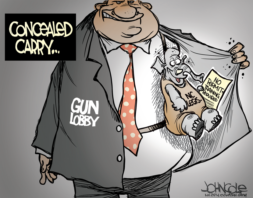 LOCAL NC Concealed carry