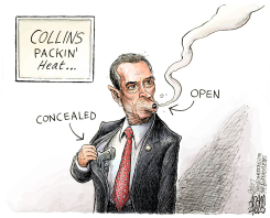 CHRIS COLLINS CARRIES  by Adam Zyglis