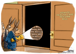 SECRET SENATE HEALTH CARE BILL by R.J. Matson