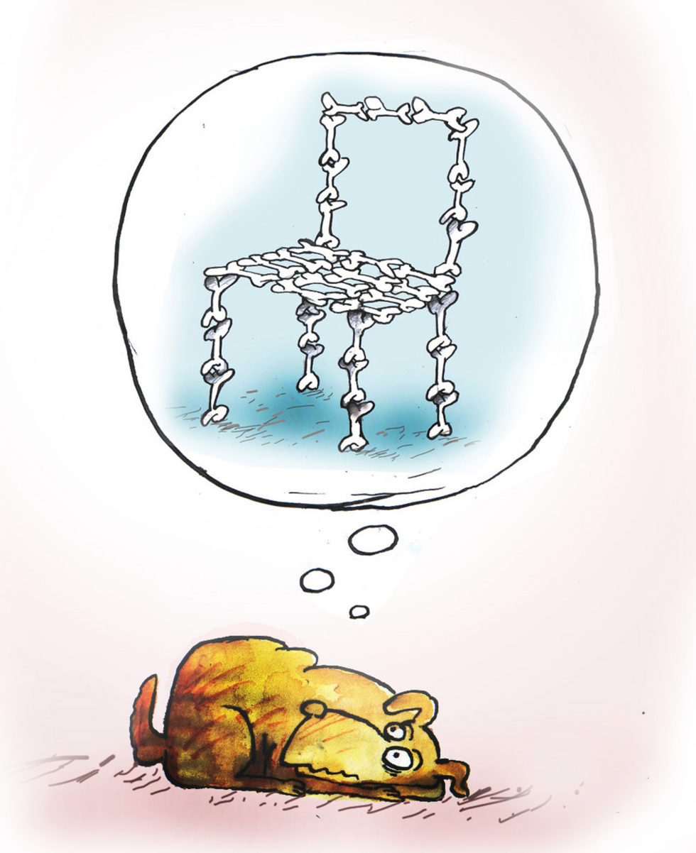 Politics