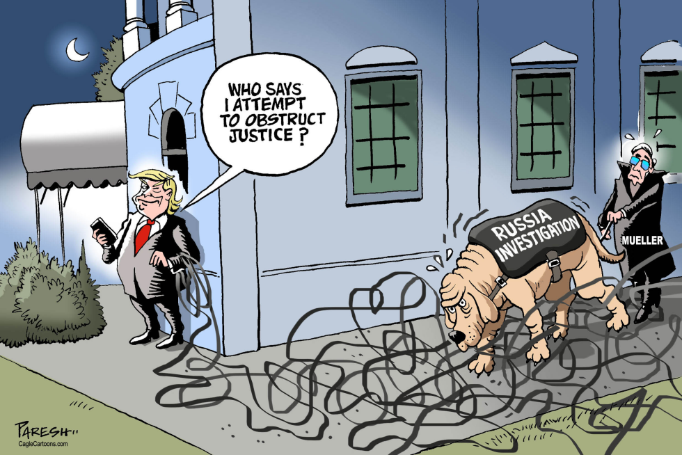  TRUMP AND RUSSIA PROBE by Paresh Nath