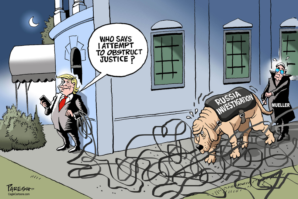 TRUMP AND RUSSIA PROBE by Paresh Nath