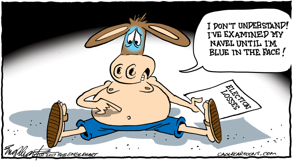  DEMOCRATS LOSE by Bob Englehart