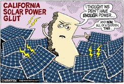 LOCALCA CALIFORNIA SOLAR POWER GLUT by Monte Wolverton
