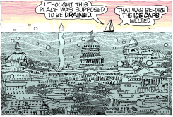 REFILLING THE SWAMP by Monte Wolverton