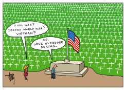 DRUG OVERDOSE DEATHS IN USA by Arend Van Dam