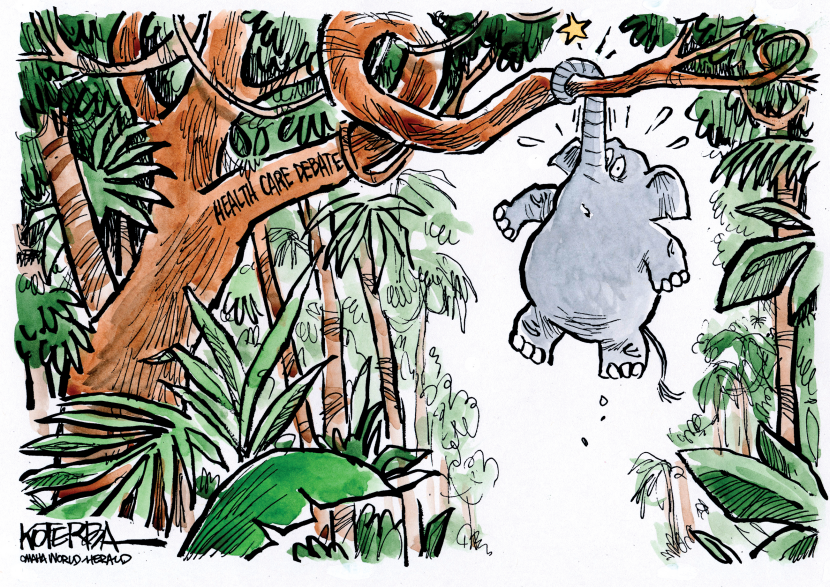 Swamp or Jungle