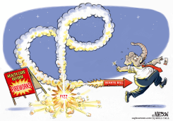 SENATE HEALTH CARE REFORM FIREWORKS MISFIRE by R.J. Matson
