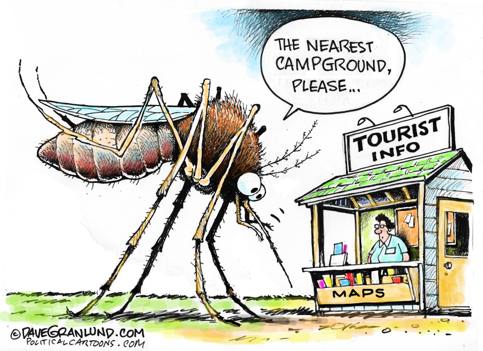 Mosquitoes and tourists COLOR