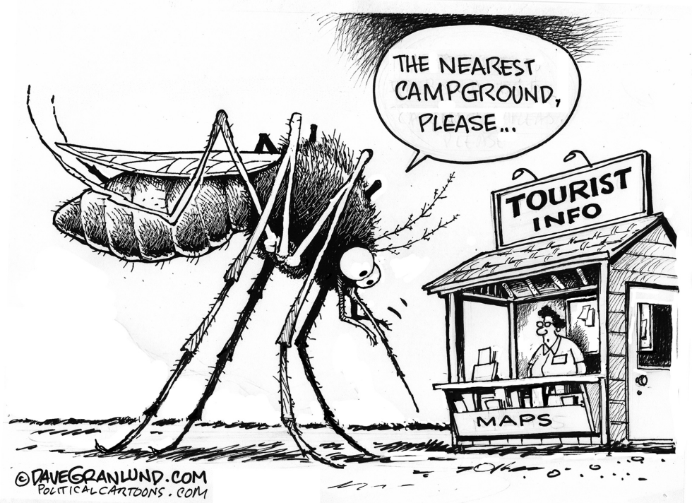 Mosquitoes and tourists