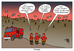 PORTUGAL FOREST FIRES by Arend Van Dam