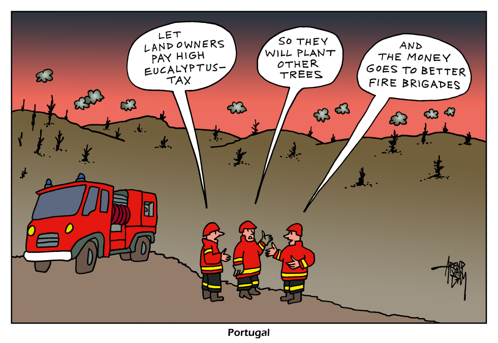 Portugal forest fires