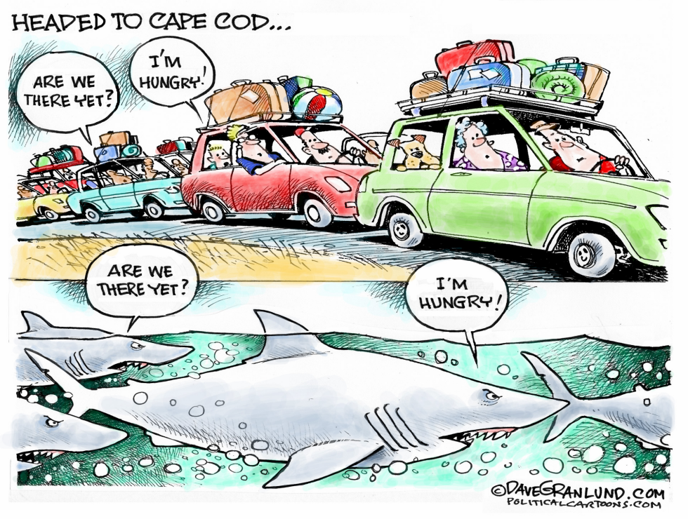 Cape Cod and Sharks COLOR