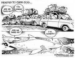 CAPE COD AND SHARKS by Dave Granlund