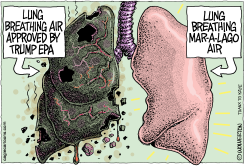 TRUMP EPA AIR QUALITY STANDARDS by Monte Wolverton
