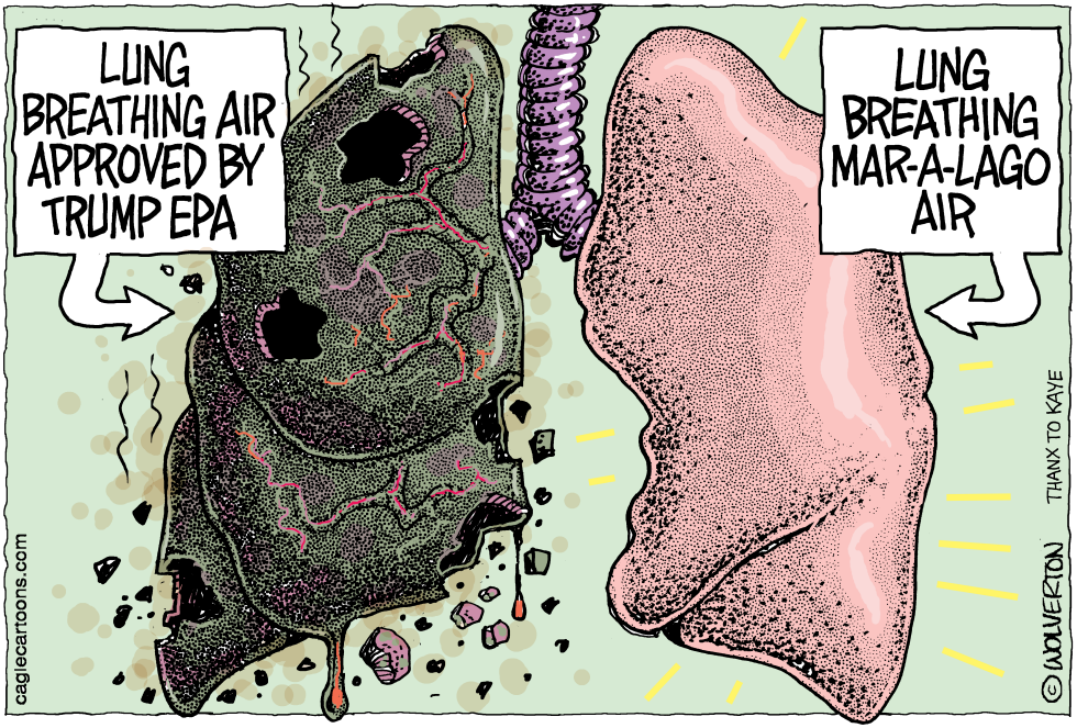Trump EPA Air Quality Standards