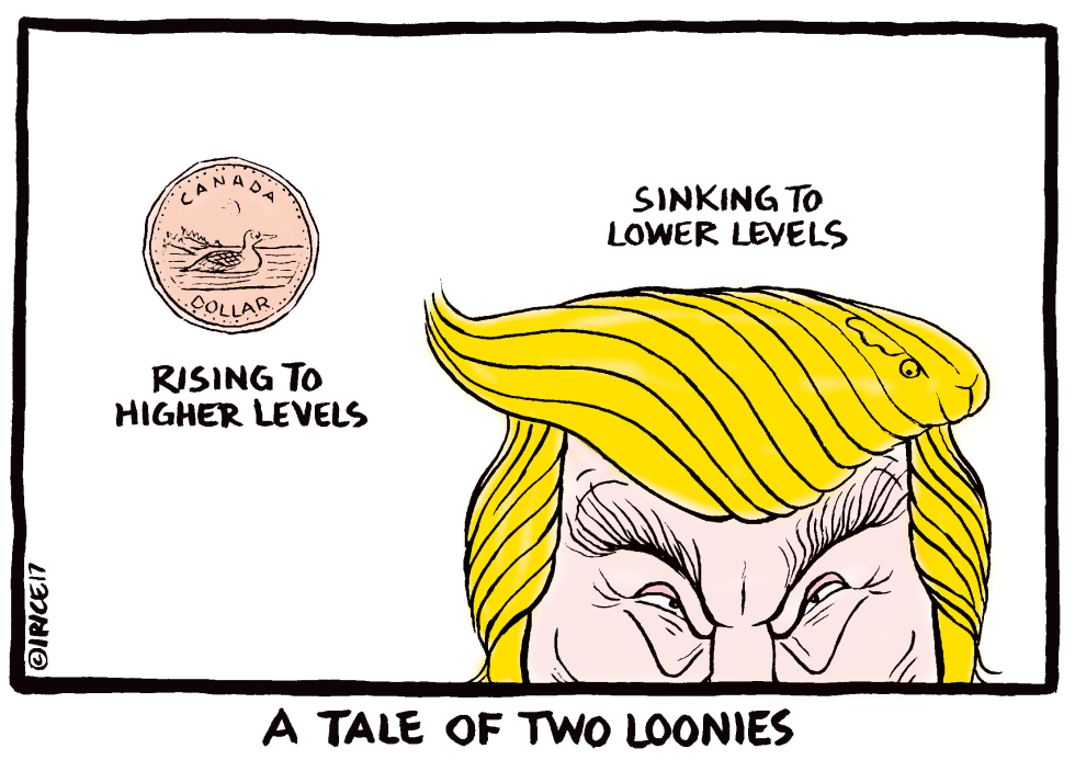 Tale of Two Loonies