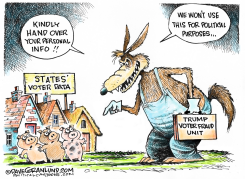 TRUMP VOTER FRAUD UNIT  by Dave Granlund