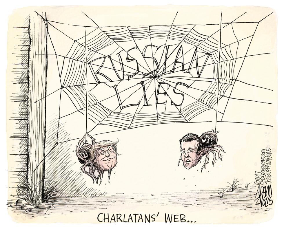 Charlatan's web COLOR