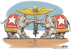 REPUBLICAN HEALTH CARE REFORM TUG OF WAR by R.J. Matson