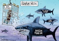 AMAZON by Joe Heller