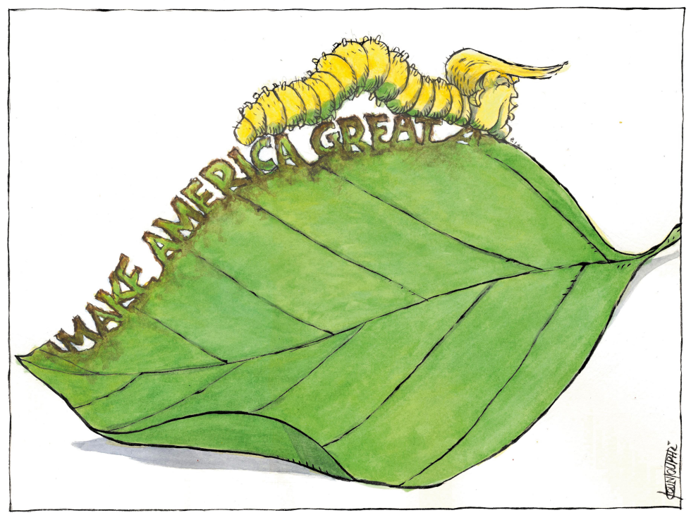 Trump and Environment