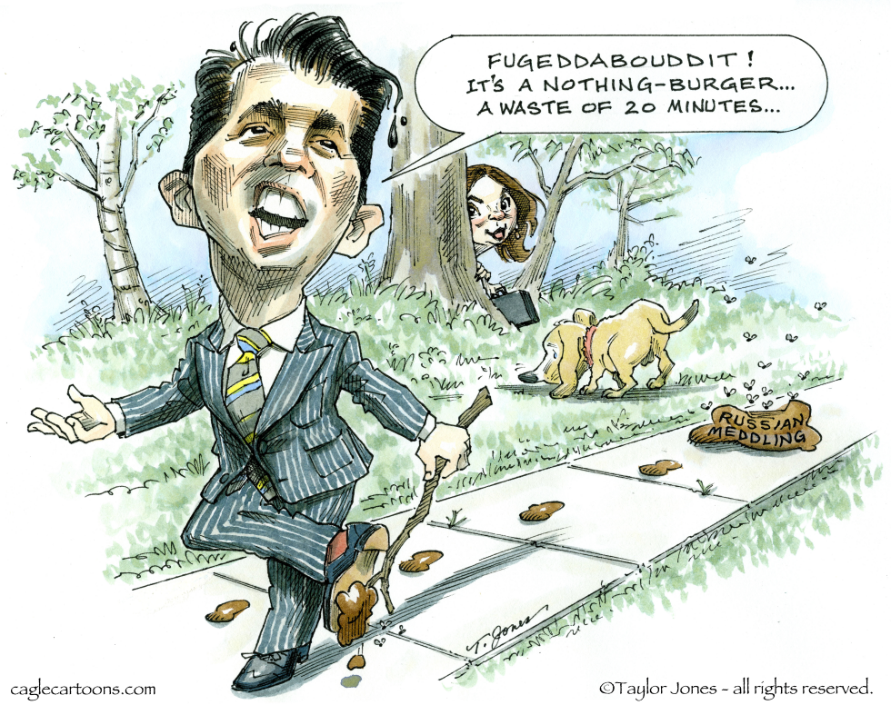 Donald Jr steps lively - COLOR