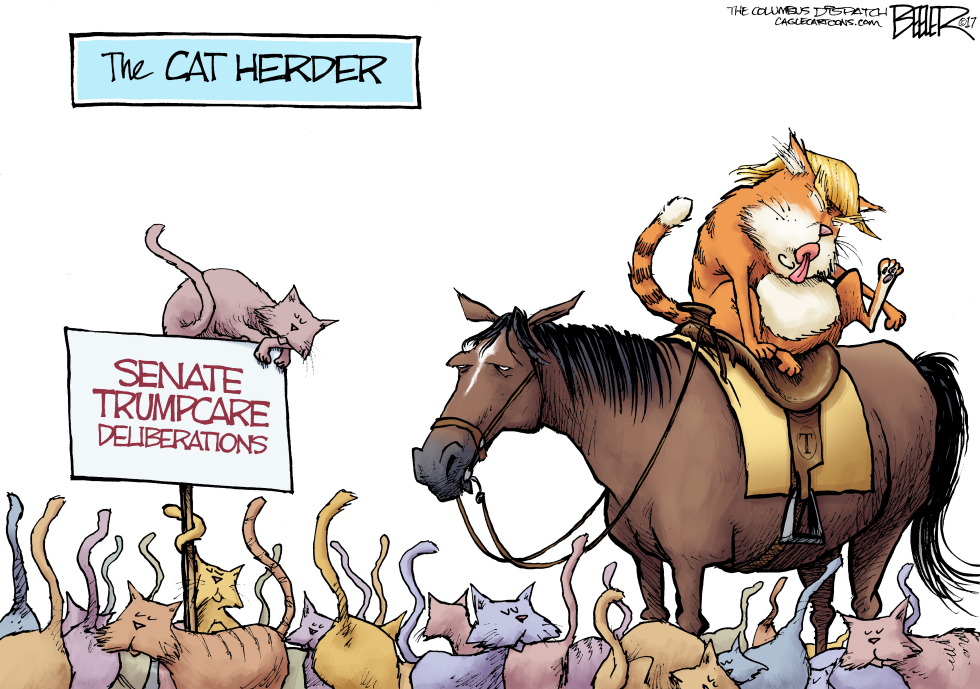  CAT HERDER by Nate Beeler