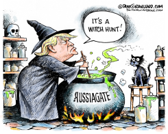 TRUMP WITCH HUNT  by Dave Granlund
