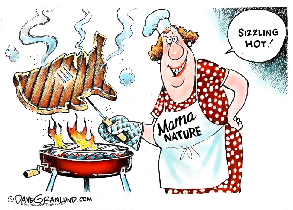  HEATWAVE USA by Dave Granlund