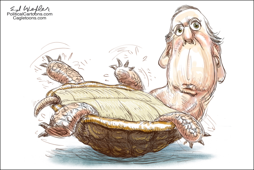 McConnell Turtle On Back