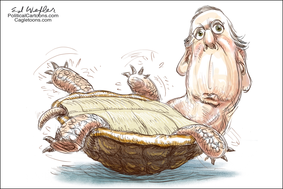 McConnell Turtle On Back