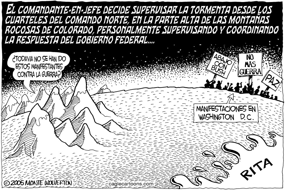 Bush al mando