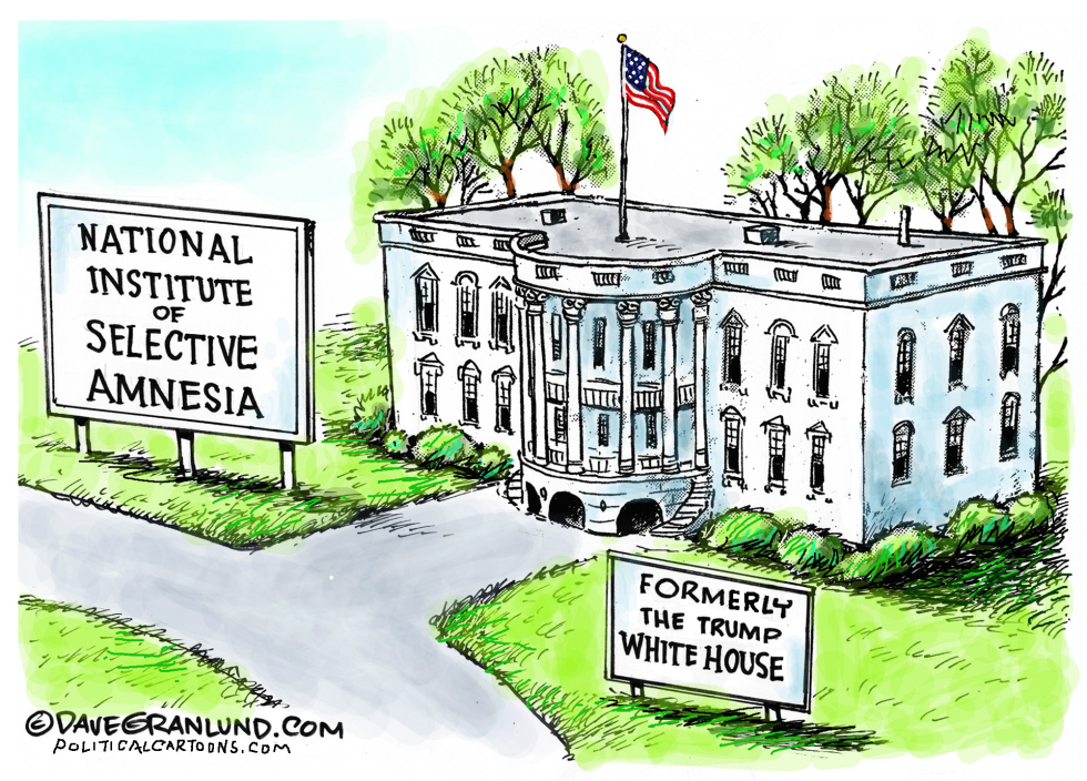 White House Amnesia COLOR