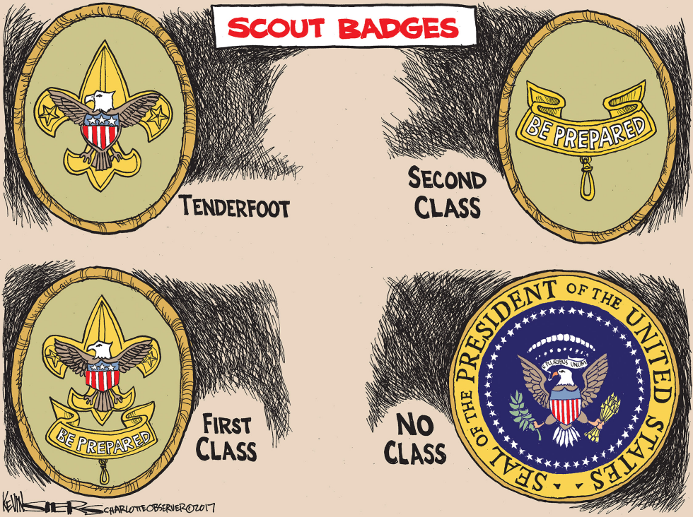 Scout Badges