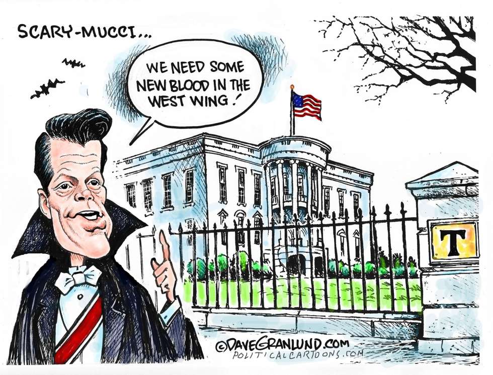  SCARAMUCCI VS WH STAFF by Dave Granlund