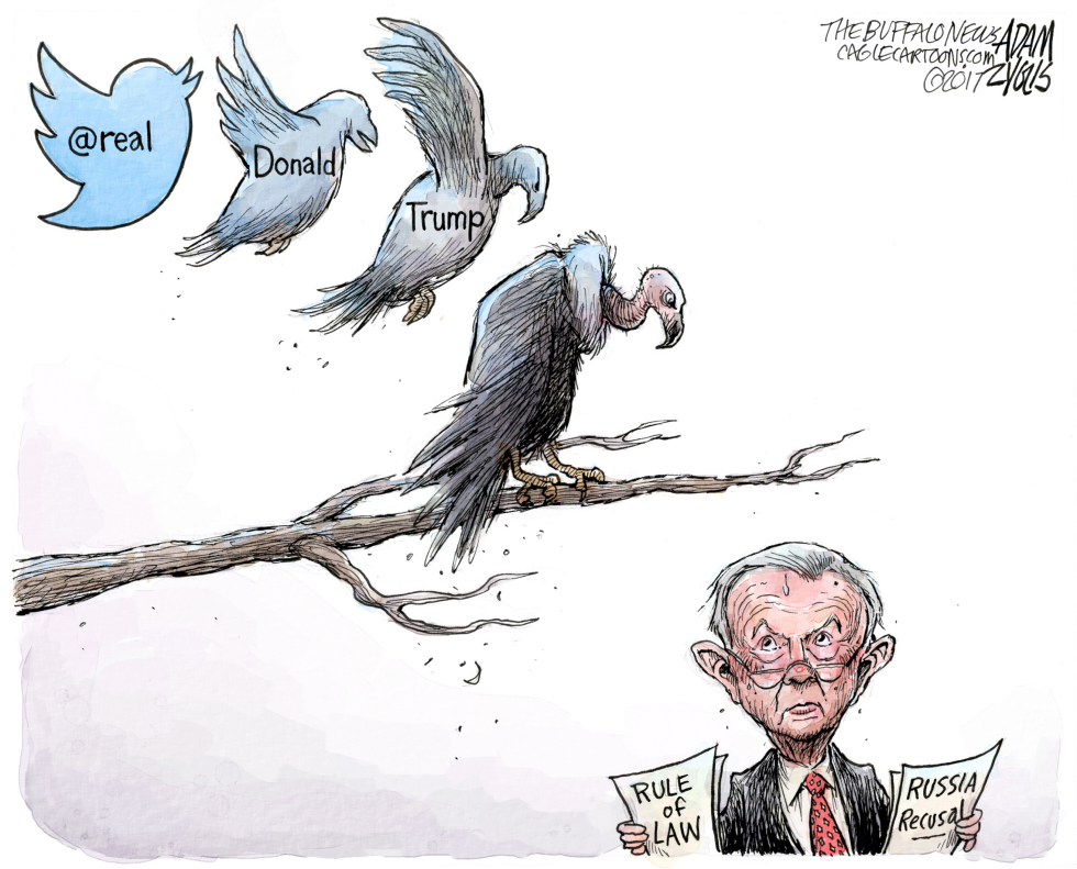 Attorney General COLOR