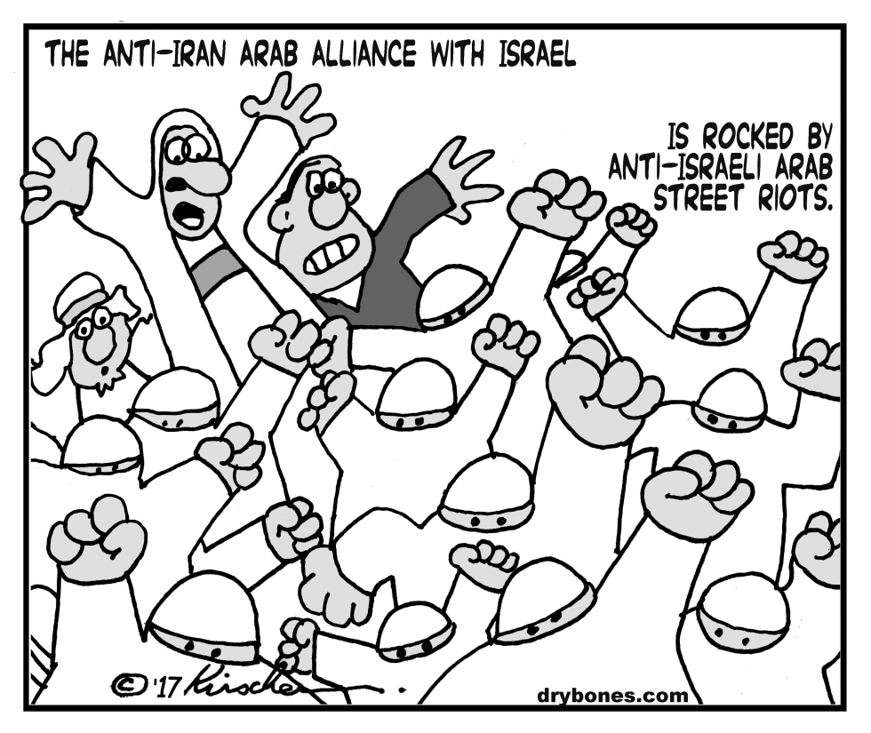  ANTI-ISRAE RIOTS by Yaakov Kirschen