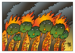 FOREST FIRES by Arend Van Dam