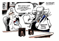 OBAMACARE REPEAL FAILS  by Jimmy Margulies