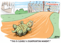 THE MCCONNELL AND THE HARE by R.J. Matson