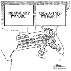 ONE SMALL STEP FOR NASA by R.J. Matson