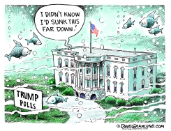 TRUMP SINKS IN POLLS  by Dave Granlund