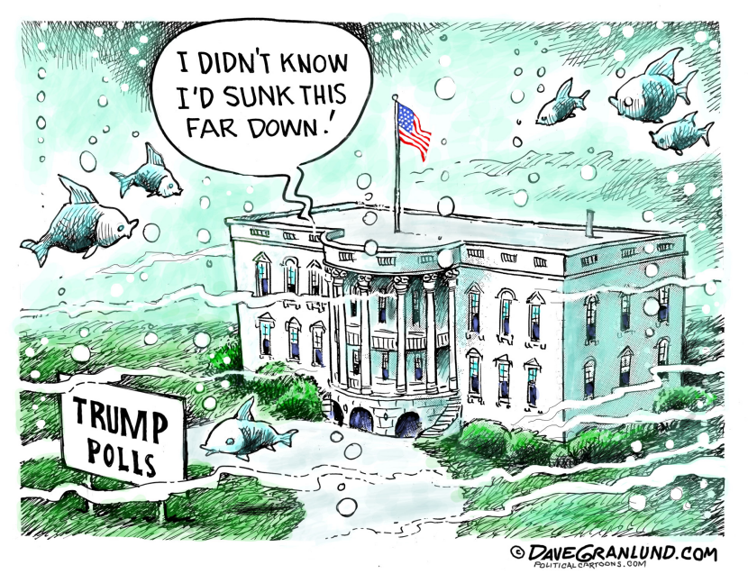Trump sinks in polls COLOR